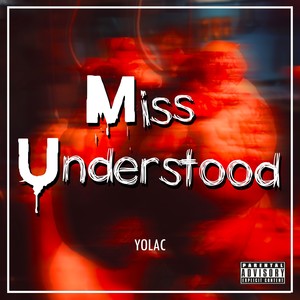 Miss Understood (Explicit)