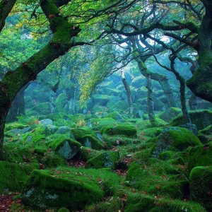 溯 (Reverse) feat. 马吟吟