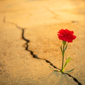 Beauty All Around (Explicit)