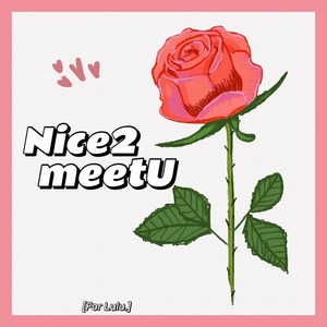 Nice2meetU