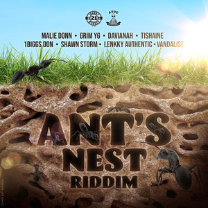 Ant's Nest Riddim (Explicit)