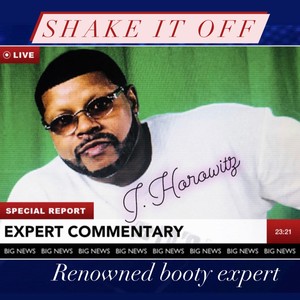 Shake It off (Radio Edit)
