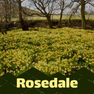 Rosedale