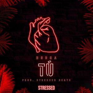Tú (feat. Stressed Music)