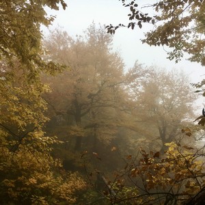 maine in fall