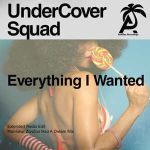 Everything I Wanted (Monsieur Zonzon Had a Dream Mix)