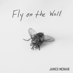 Fly on the Wall