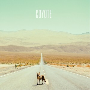 Coyote (Explicit)