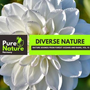 Diverse Nature - Nature Sounds from Forest Oceans and Rains, Vol.10