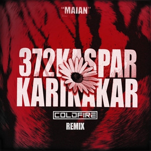 Karikakar (Remix / Extended Mix)