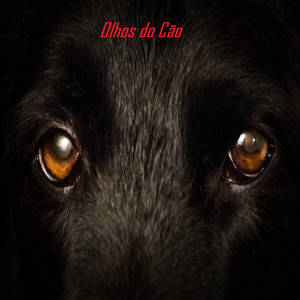 Olhos do Cão