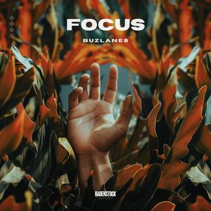 Focus