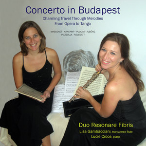 Concerto In Budapest (En Directo)