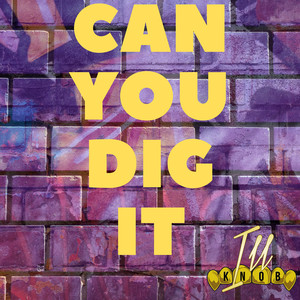 Can You Dig It (Explicit)