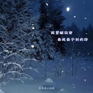 我望眼欲穿 看我看不到的你