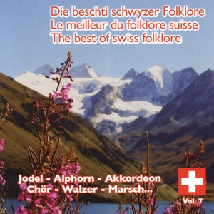 Le meilleur du Folklore suisse, Vol. 7