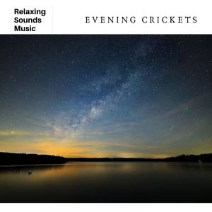 Evening Crickets: Relaxing Spa Sounds