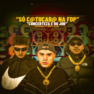 Só Catucada Na Fdp X Concerteza E Do Job X Desce Ballena (Explicit)