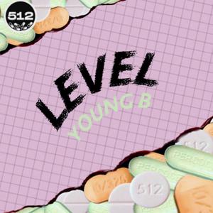 LEVEL