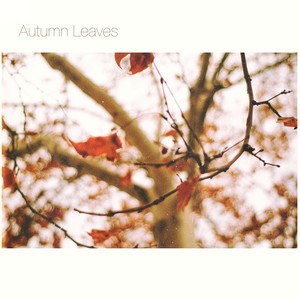 Autumn Leaves (Live)