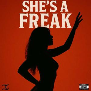 She's A Freak (feat. Hostile Beatz & YC Beatz) (Explicit)