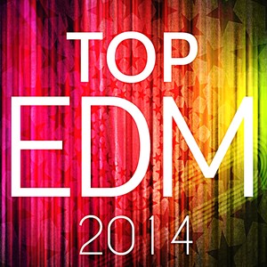 Top EDM 2014