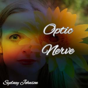 Optic Nerve