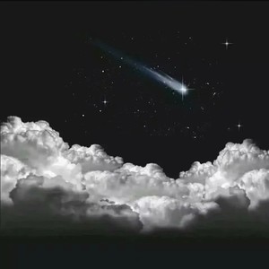 小草哥 - 活着就已经很累了