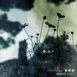 Carrier (Original Mix)