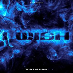 I Wish (Radio Edit|Explicit)
