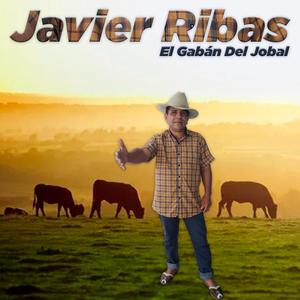 Una Canción a La Cama