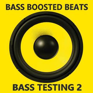 Bass Testing 2