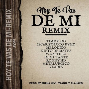 Hoy Te Vas de Mi (Remix)