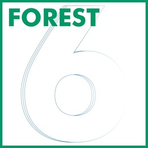 Forest 6