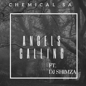 Angels Calling (feat. Dj Shimza)