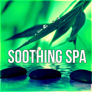 Soothing Spa - Healing Music, Spa Music Background, Massage Therapy, Meditation, Wellness Music, New Age, Ocean Waves, Nature Sounds