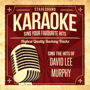 Fish Ain't Bitin'(Originally Performed By David Lee Murphy) (伴奏)