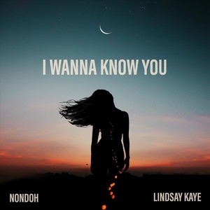 I Wanna Know You (feat. Lindsay Kaye)