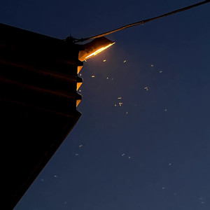 Diamonds Want Some Love (Explicit)