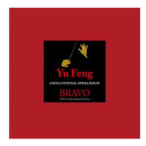 中央歌剧院-BRAVO实况录音集锦