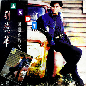 记不住你的容颜 (黑胶版)封面