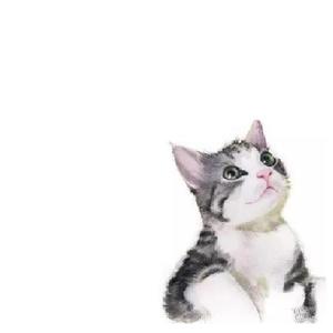 CAT-N