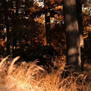 someone way better than me (Explicit)