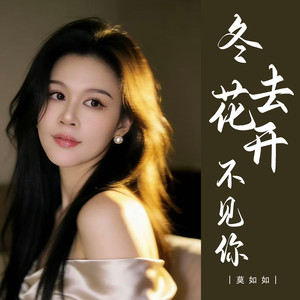 冬去花开不见你 (伴奏)