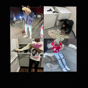 No Hook 2 (feat. PnfQua, Hoesknowbands & Delo3278) (Explicit)