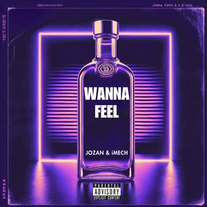 Wanna Feel (Slowed Version) [Explicit]