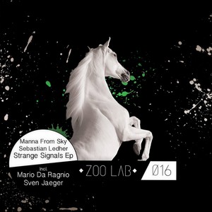 Strange Signals (Original Mix)