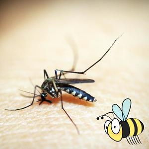 Finito Pippo(feat. Bourdon, Moustique, Reno & Le Marsu) (Explicit)