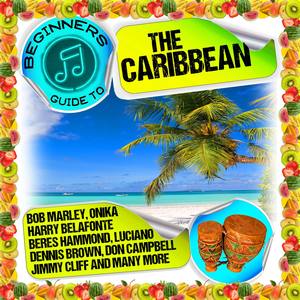 Where Did I Go Wrong