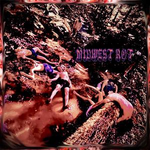 Midwest Rot - Split EP (Explicit)